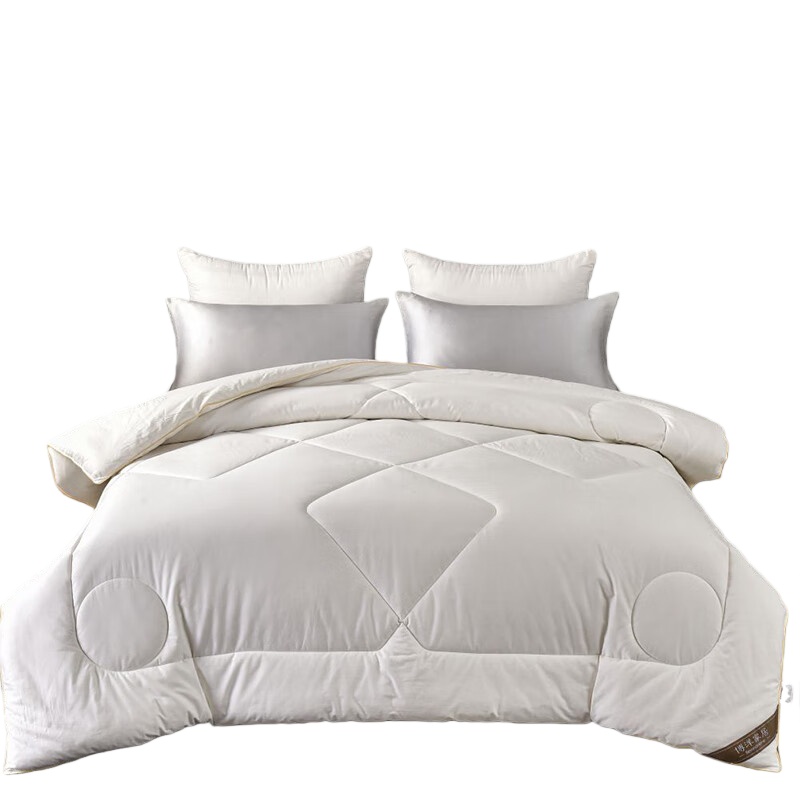 博洋（BEYOND） WT912307010C 歆雅大豆冬被 全棉款 150*210cm 1400g （单位：床） 白色
