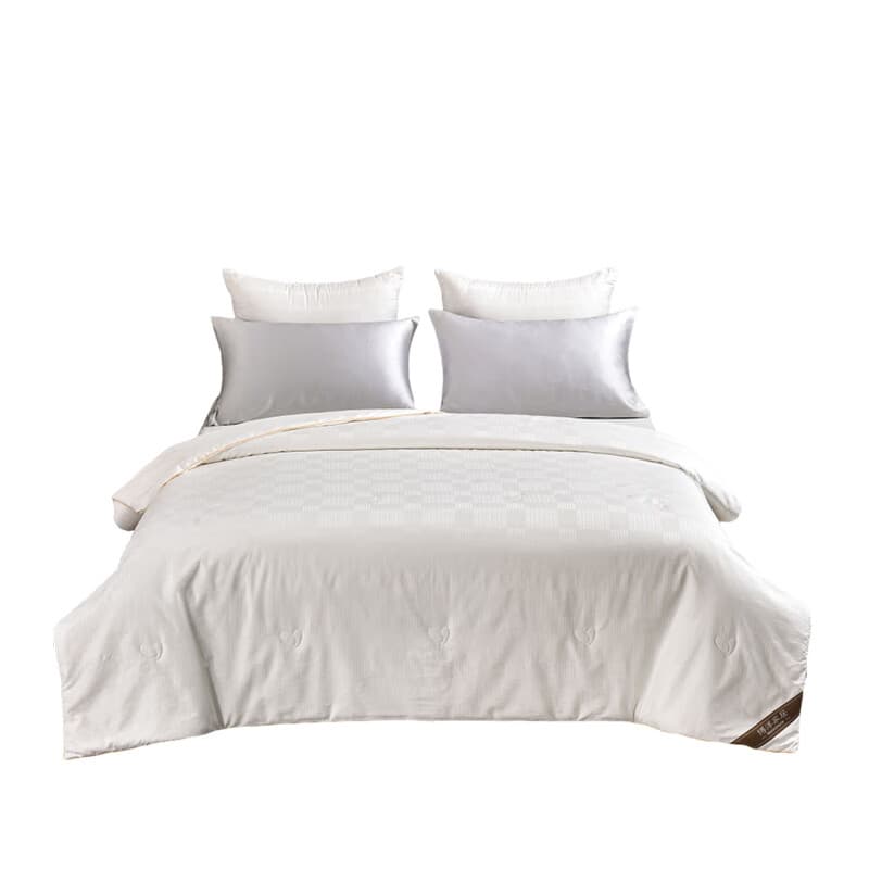 博洋（BEYOND） WT912307014A 艾丽丝全棉蚕丝春秋被 200*230cm 800g （单位：床） 白色