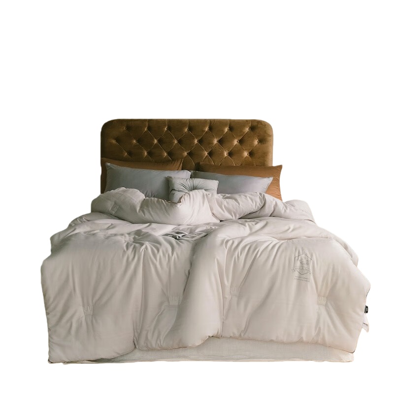 婵思 BZGLFS2000297 提花大豆春秋被 200*230cm/总重约4.5斤 （单位：条） 浅米