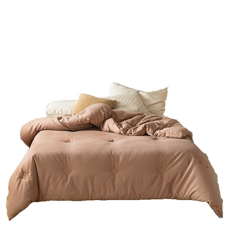 婵思 BZGLFS2000310 芯选棉花春秋被 220*240cm/总重约4.5斤 （单位：床） 咖