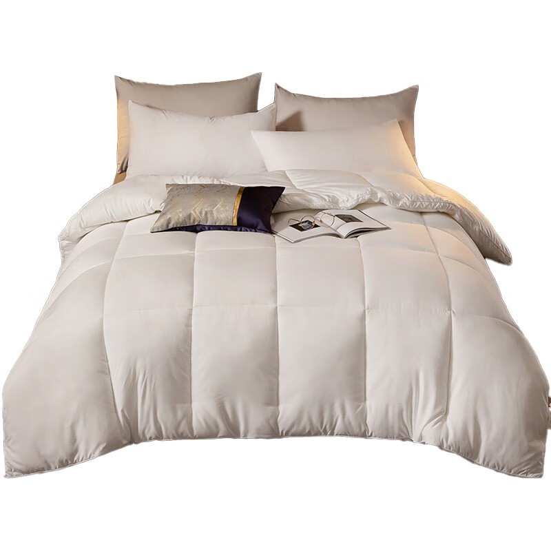 婵思 BZGTDC2000319 立体秋冬被 200*230cm/总重约6斤 （单位：床） 白