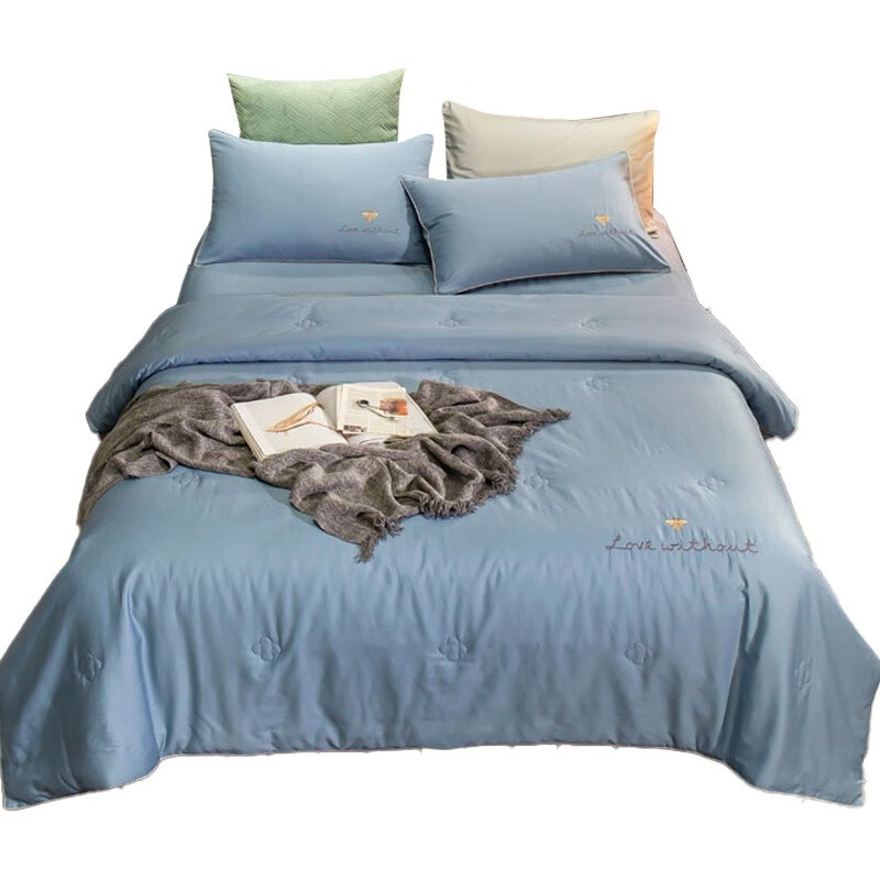 婵思 BZGTDC2000330 全棉喷气绣花秋夏被 200*230cm/3斤 （单位：条） 蜜恋蓝