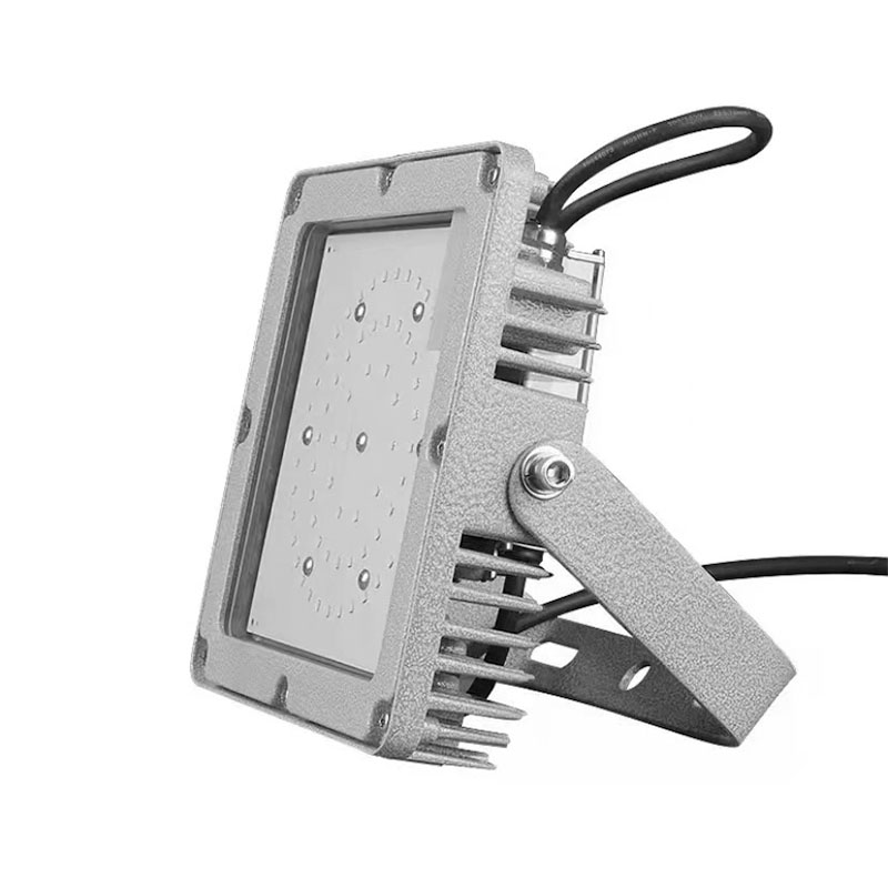 炽翼 BLD806-100W 防水防尘灯 IP65 6000k （单位：个） 银色