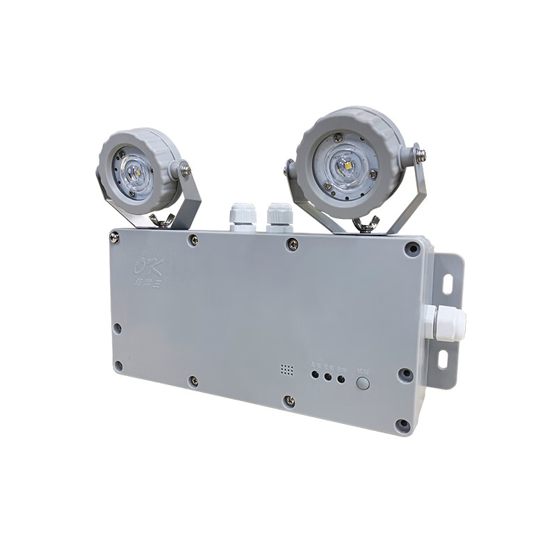 海洋王 ZFZD-E2W9401-GW 应急照明灯 2W （单位：盏） 灰色