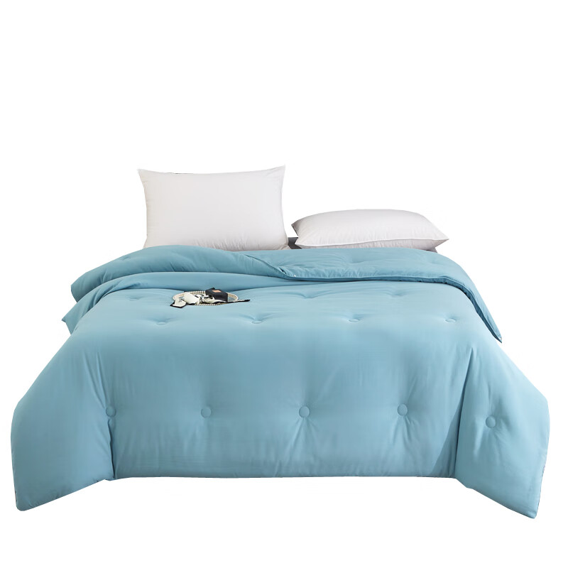 汉司家纺 纯色亲肤 保暖春秋冬被 200*230cm （单位：条） 夏至蓝