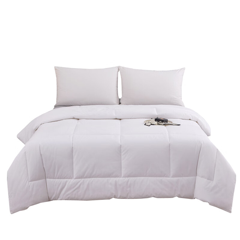 汉司家纺 四季通用 全棉防羽布被芯 200*230cm （单位：条） 白色