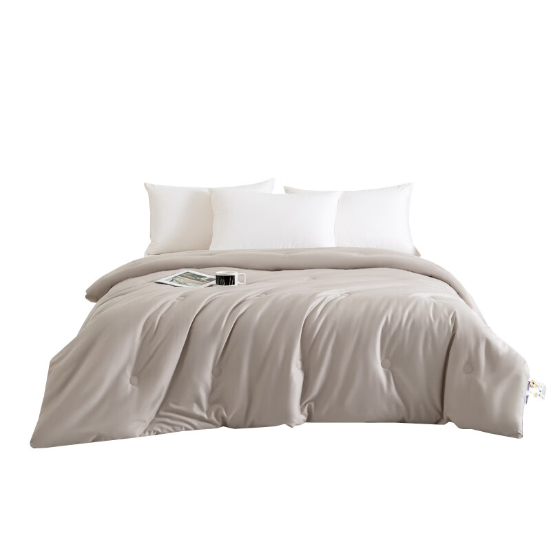 汉司家纺 舒适亲肤 大豆春秋冬被 150*200cm （单位：条） 浅灰