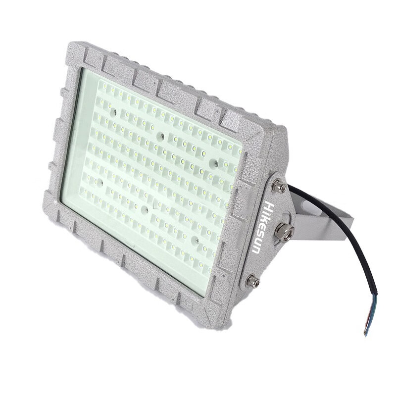 和齐顺 HQ-GDL100 吊杆式防爆灯 100W （单位：盏） 灰色