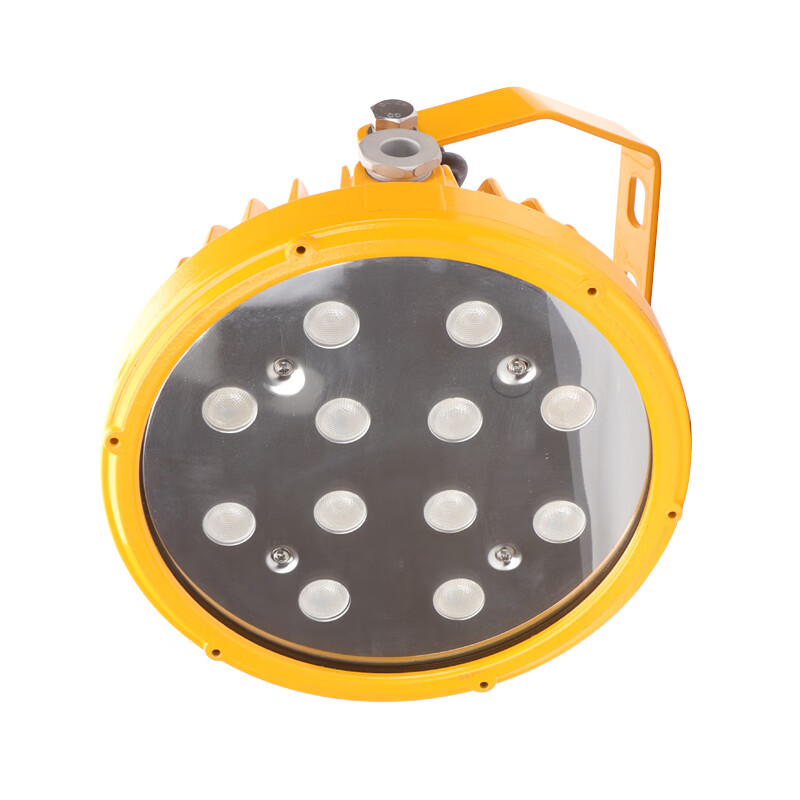 恒盛（HS） BF390A 防爆投光灯 30W （单位：盏） 黄色