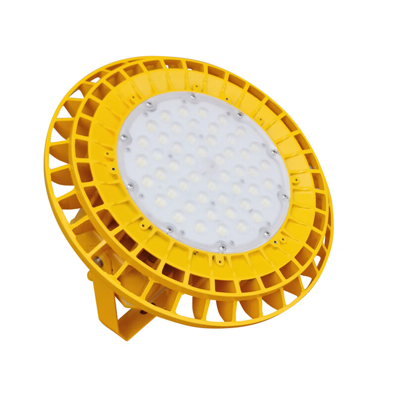 恒盛（HS） BF390H-240W LED防爆泛光灯 240W （单位：盏） 黄色