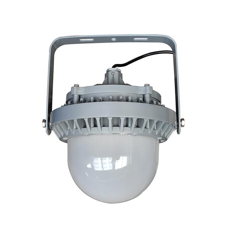 恒盛（HS） WF211E-100W LED平台泛光灯 100W （单位：个） 灰色