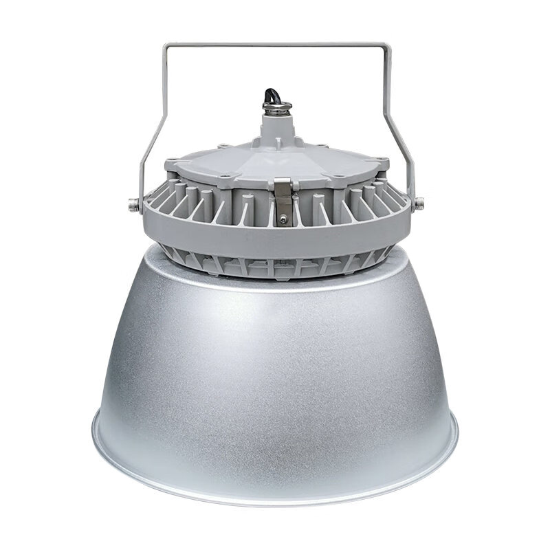 恒盛（HS） WF241-100W LED高顶灯 100W （单位：个） 灰色