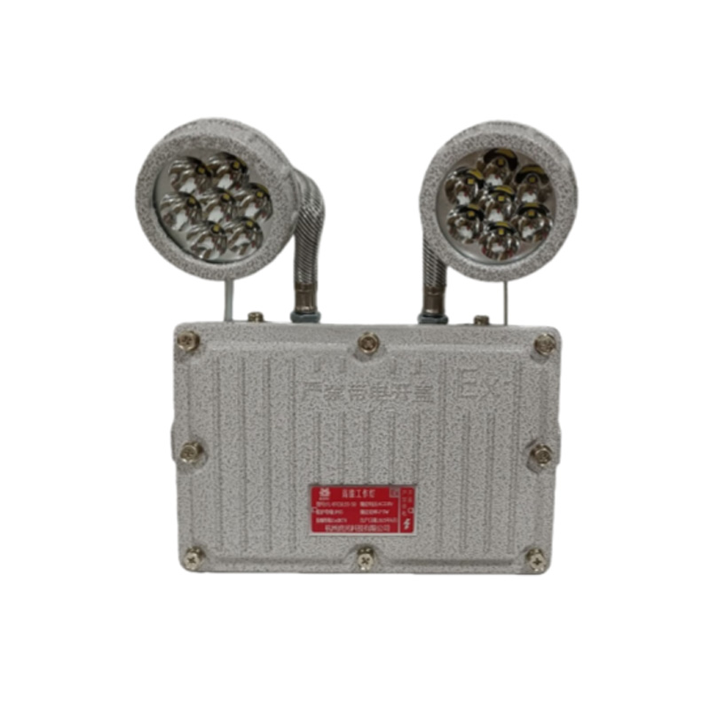 虎光风行 FL-BTC6155-50 应急灯 2*5W （单位：个）