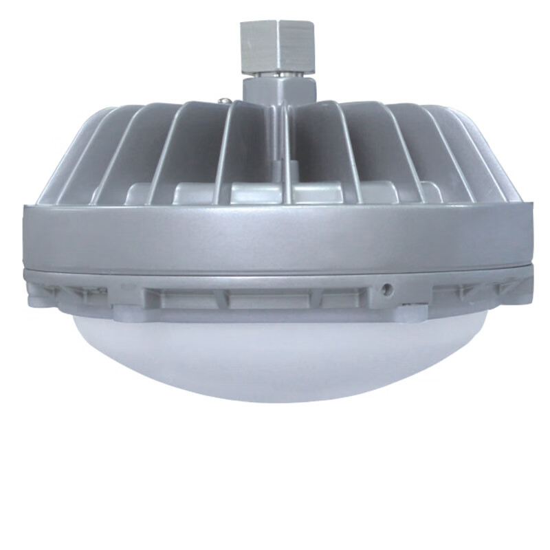 华荣（WAROM） RLEEXL608-XL100 防爆固态照明灯 100W （单位：盏）