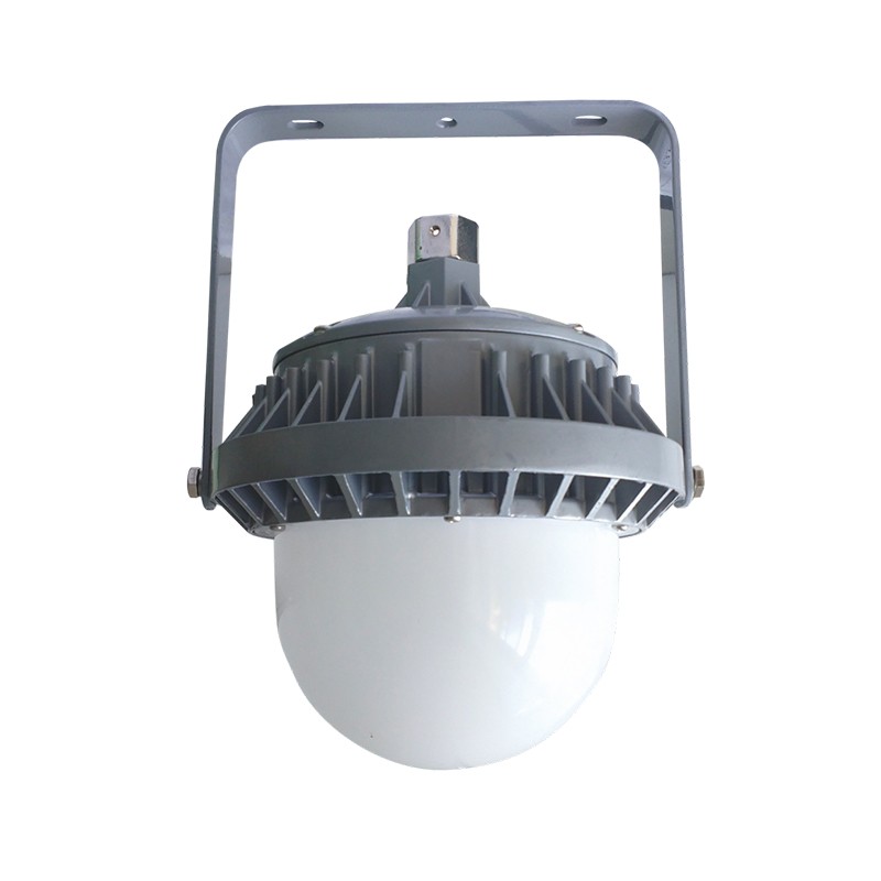 惠乐为 OL9001 LED环照灯 30W （单位：个）