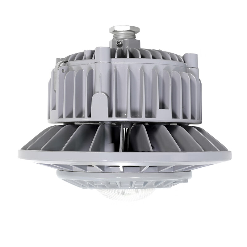 吉特（GT） BG8602P-60W-100&deg; LED防爆灯 60W （单位：盏）