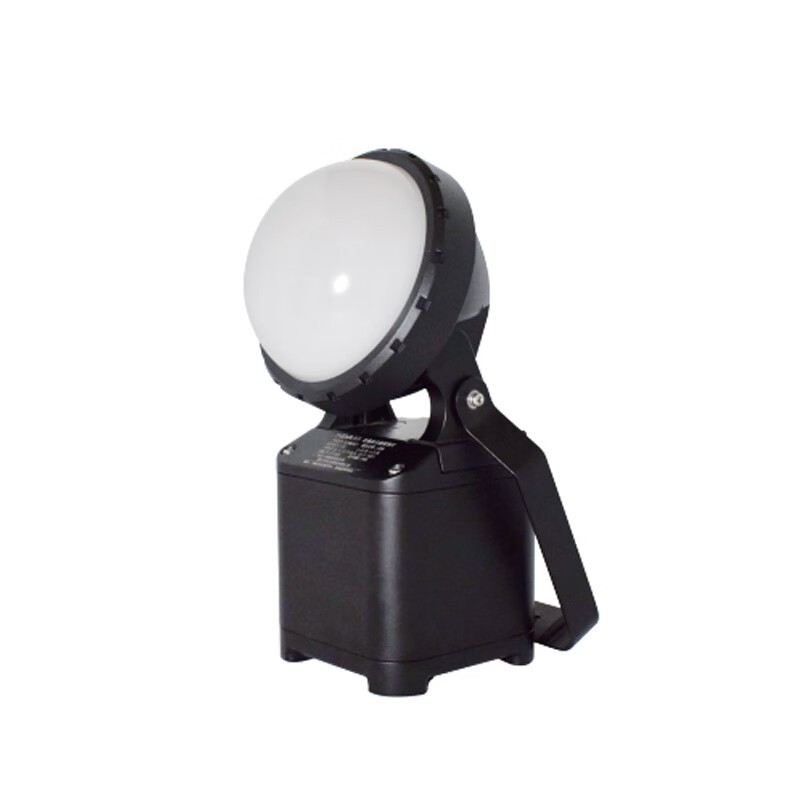 尚为（SEVA） SZSW2402 LED光源手持工作灯 20W 白光 （单位：盏） 黑色