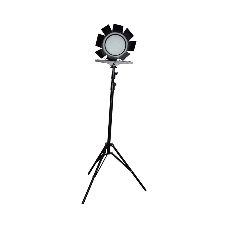 尚为（SEVA） SZSW7130BG 摄影补光灯 5700K （单位：个） 黑色