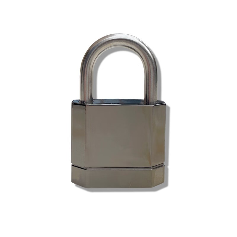 苏电 SD-ZW69 指纹挂锁 指纹容量20枚 （单位：把） 灰色