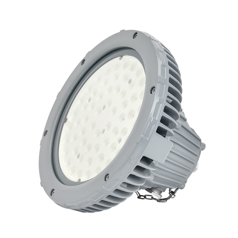 通明 BC9304P-L100 LED防爆灯 100W5000K （单位：盏） 灰色