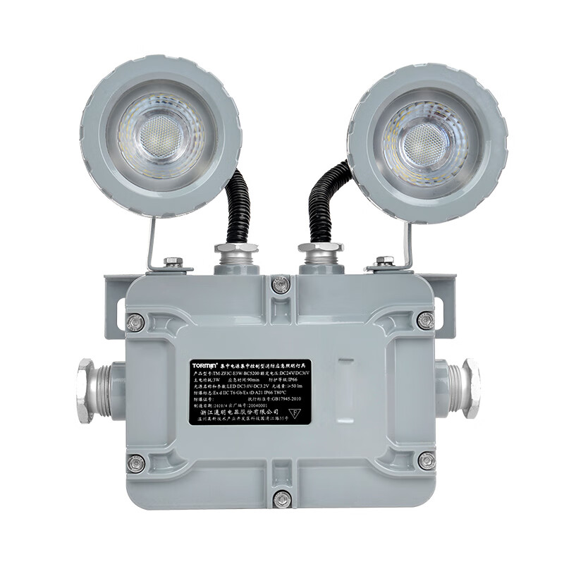 通明 TM-ZFJC-E3W-BC5200带系统 集中控制型消防应急照明灯具 2*1.5W5000K （单位：盏） 灰色
