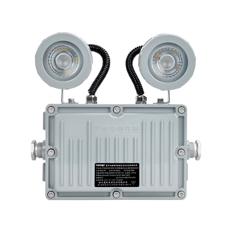 通明 TM-ZFJC-E3W-ZY5200带系统 集中控制型消防应急照明灯具 2*1.5W5000K （单位：盏） 灰色