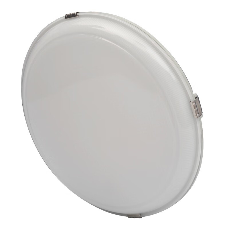 通明 ZY5302-L12 LED三防灯 12W5000K （单位：台） 白色