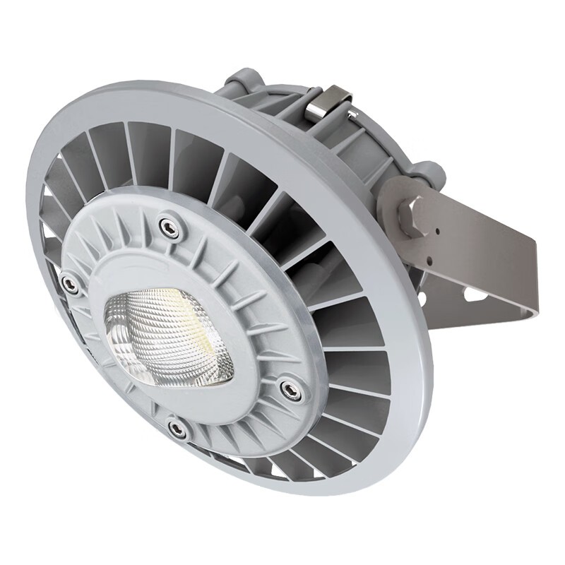 通明 ZY8607S-L50-100 LED照明灯 50W5000K配光100度 （单位：套） 灰色