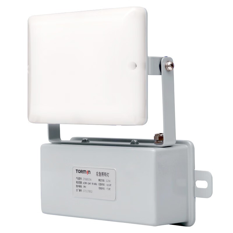 通明 ZY8810A-L12 LED应急照明灯 照明12W+应急6W5000K （单位：套） 白色
