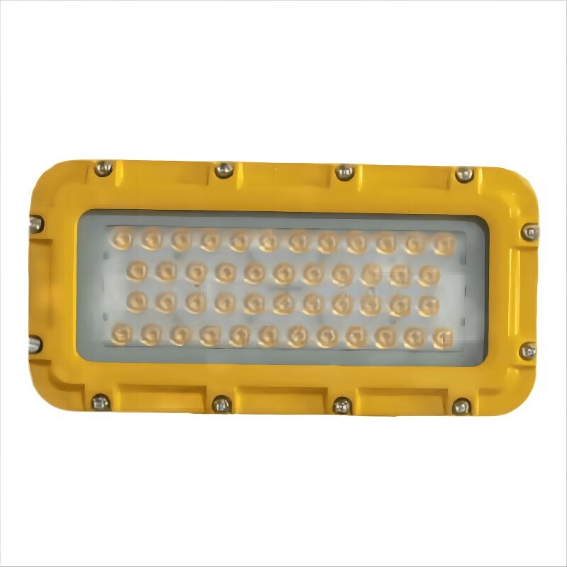 维莱奥斯 TGD2001 防爆投光灯 200W5700K （单位：盏） 黄色