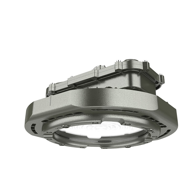 欧辉照明(OHUIZAOMIN) OHBF8119 LED防爆灯 200W （单位：个） 灰色