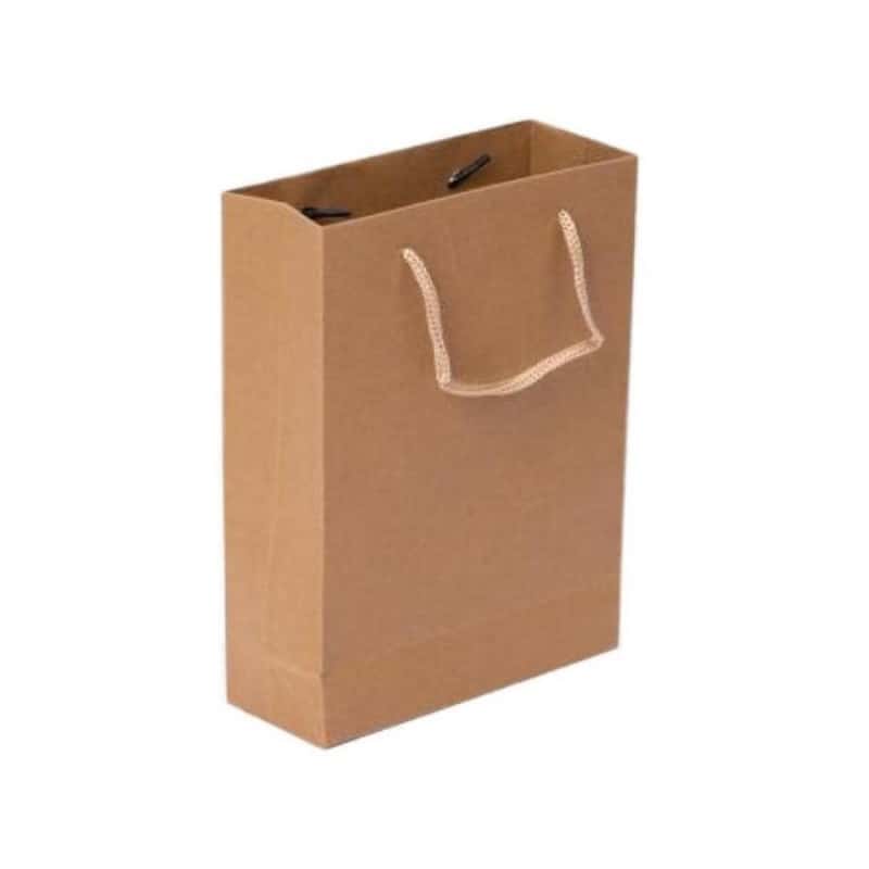 秦泰（Cqint） QtZD-001 小号竖式牛皮纸袋 20*25*8cm （单位：个） 本色