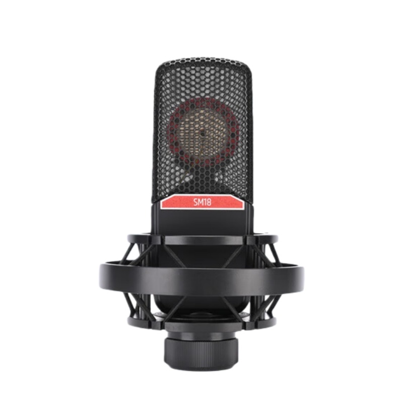 得胜（TAKSTAR） SM-18 麦克风 20-20KHz （单位：只） 黑色