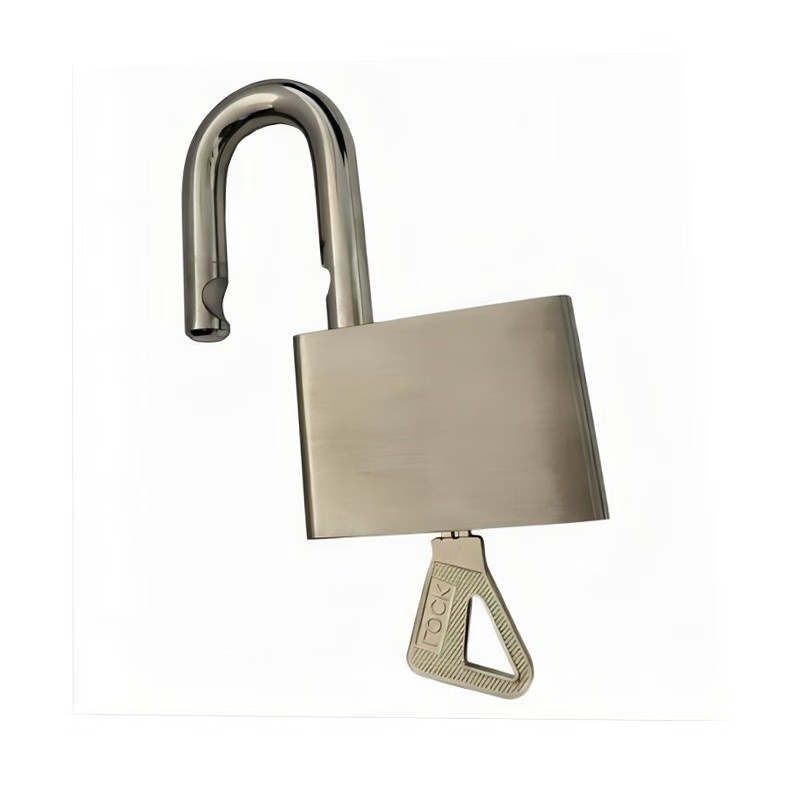 电帮务 50*51mm 挂锁 50*51mm （单位：个） 银色