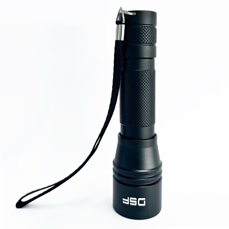 鼎晟丰（DSF） DSFB-6109 无极调焦强光手电 10W （单位：个） 黑色