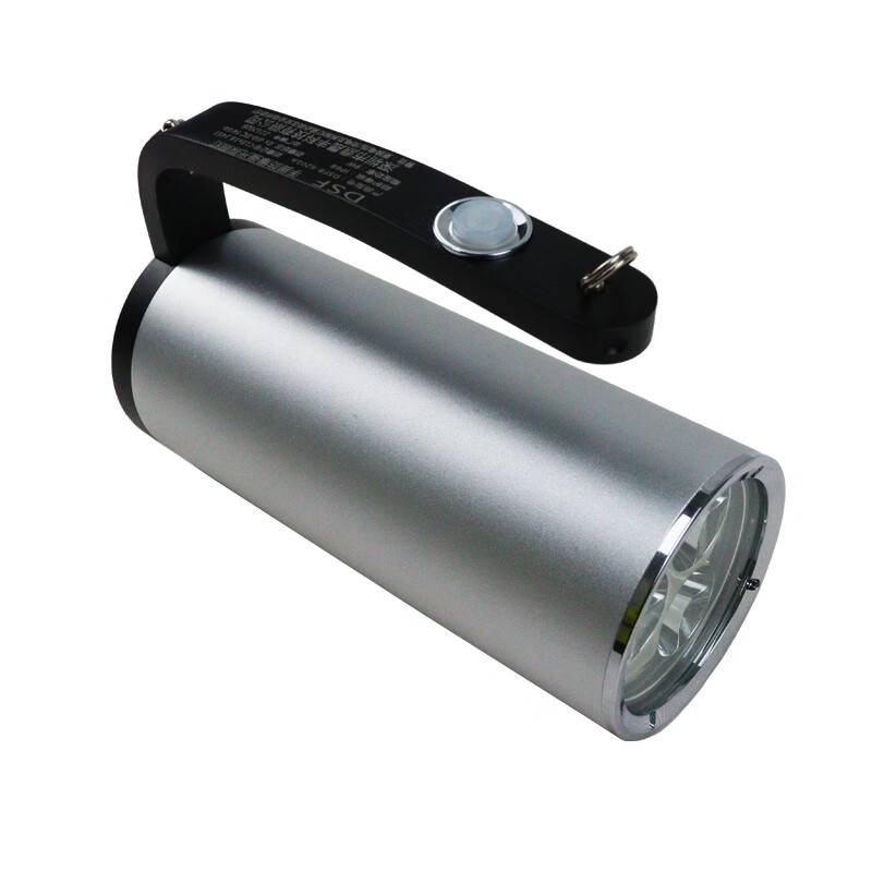 鼎晟丰（DSF） DSFB-6201A 手提防爆强光探照灯 9W （单位：盏） 银色