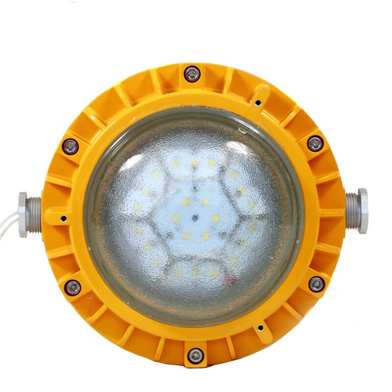 光大特照 EBF605(L) 抗震防爆平台灯 60W （单位：盏） 黄色