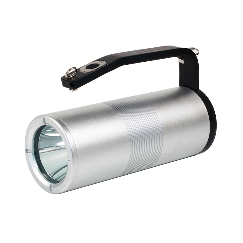 光大特照 GD-EB8020 手提式防爆探照灯 10W （单位：盏） 银色