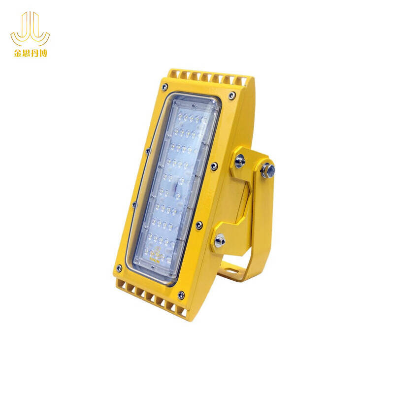 金思丹博 JSDB-D011 LED防爆灯 50W （单位：盏） 黄色