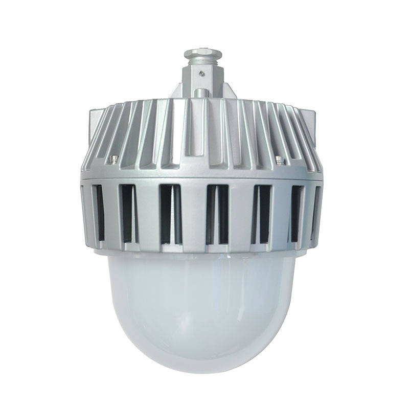 凯瑞（Cary） KL2018 LED泛光灯 50W （单位：个） 灰色