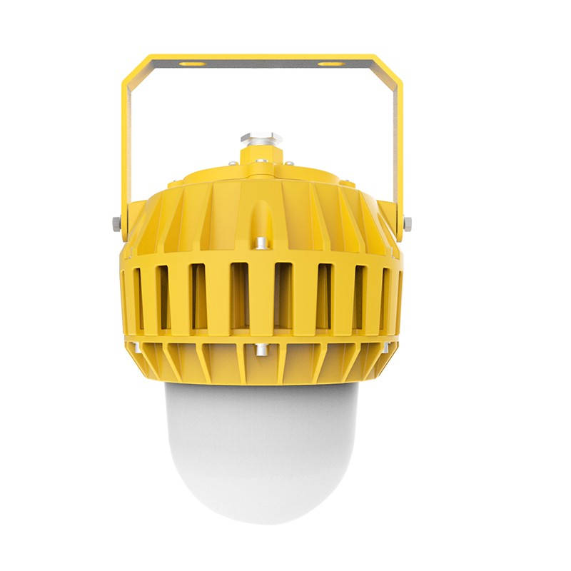 凯瑞（Cary） KLE1016 LED防爆泛光灯 100W （单位：盏） 黄色