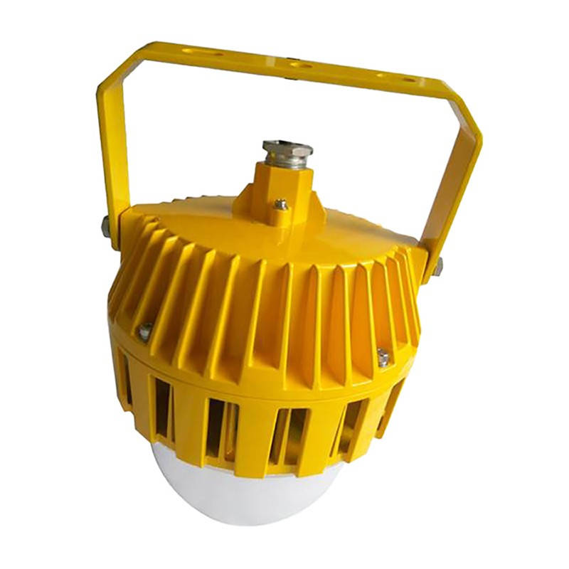 凯瑞（Cary） KLE1018 LED防爆泛光灯 70W （单位：盏） 黄色