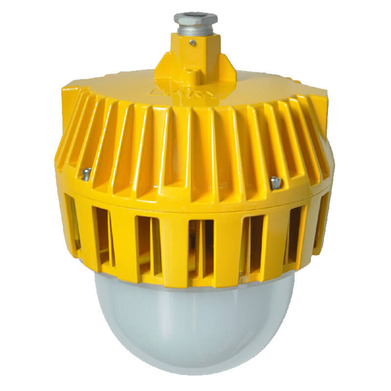 凯瑞（Cary） KLE1018 LED防爆泛光灯 80W （单位：盏） 黄色