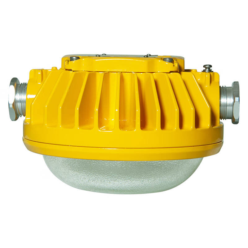 凯瑞（Cary） KLE1020 LED防爆灯 36W （单位：盏） 黄色