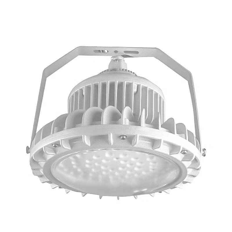 凯圣蓝 XHD610-3 免维护LED防爆灯 120W （单位：盏） 灰色