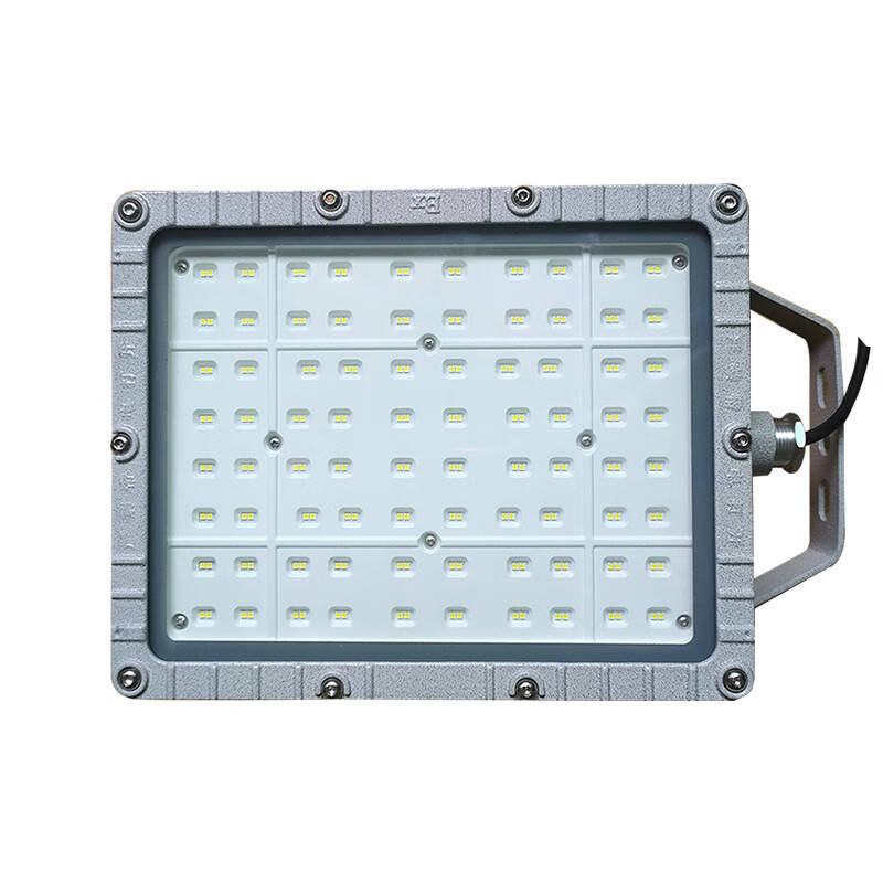 凯圣蓝 XHD97-1 防爆泛光灯 100W （单位：盏） 银灰纹