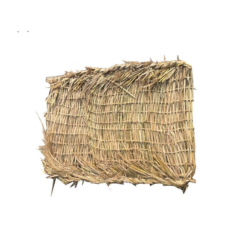 朗盛光艺 LSGY 防汛草袋 50*70cm （单位：个） 黄色