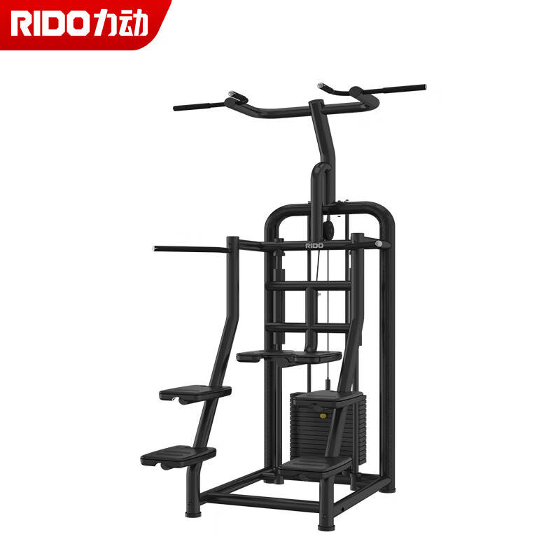 力动（RIDO） RD501 Explore系列助力引体下拉力量训练器 1450*1230*2380mm （单位：台） 黑色