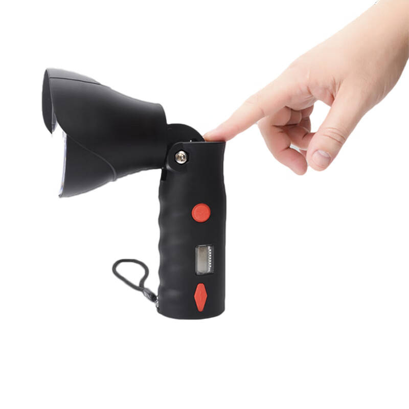 立华王（LihuaKing） LH3100D-A 强光工作电筒 3W （单位：个） 黑色