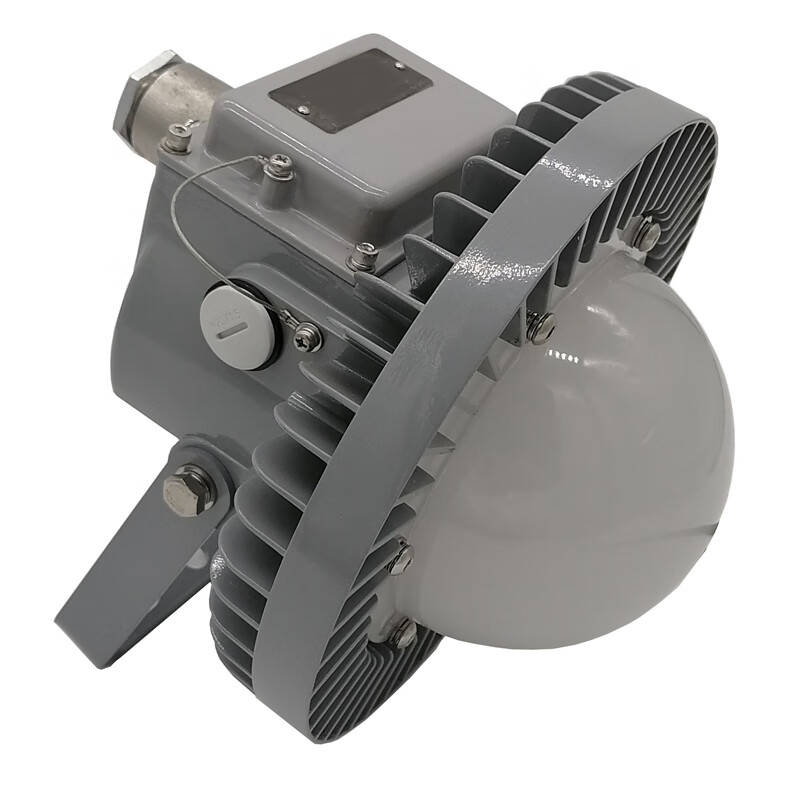 立华王（LihuaKing） LH6100-B LED泛光工作灯 30W （单位：个） 银灰色